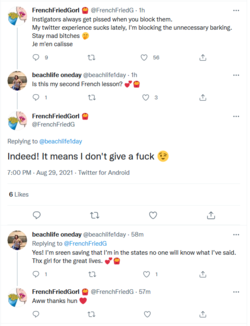 Screenshot_2021-08-29 FrenchFriedGorl 🍟 on Twitter(5).png