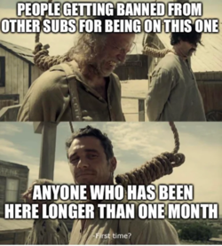 1630297738284.png