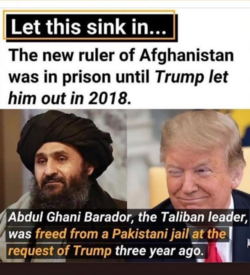 1630368353608.png