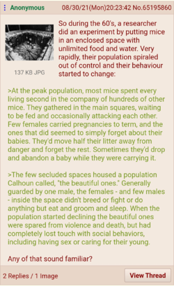 1630397507442.png