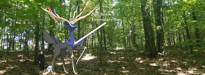 justin 08-31-2021 49 vaginas 3.png