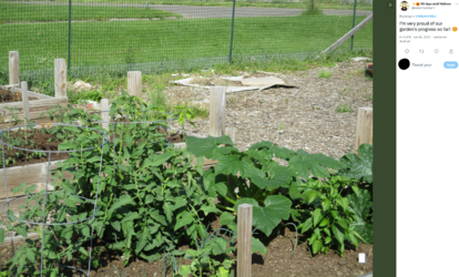 garden.PNG