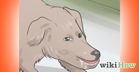 1630609332373.png