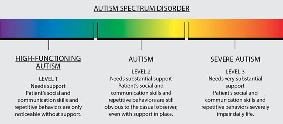 autism spectrum.jpg