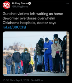 adfd1e6c-6eae-4449-9c39-ab2f376c79f7.png