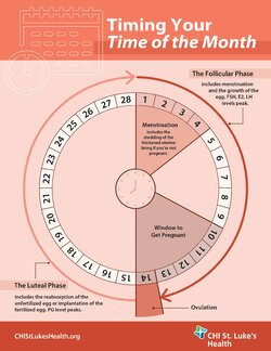 chislh-design-menstrual-cycle-infographic-may-20.jpg