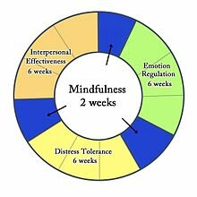 Dialectical_Behavior_Therapy_Cycle_EN.jpg