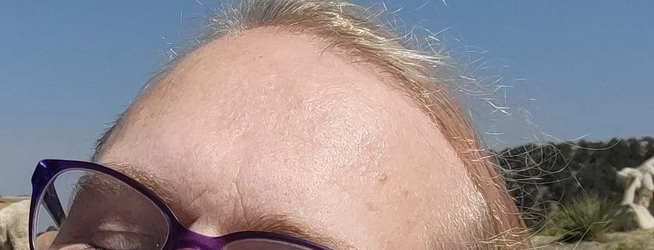 kevkevhead.png
