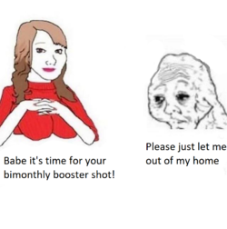 1631043292388.png