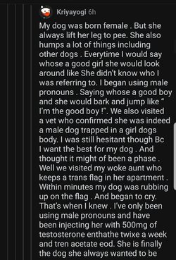 Screenshot_20210908-025525_Reddit.jpg