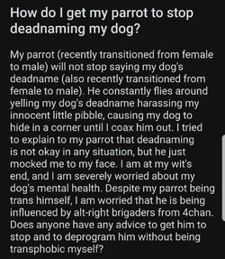 Screenshot_20210908-024451_Reddit.jpg
