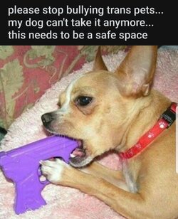 Screenshot_20210908-024623_Reddit.jpg