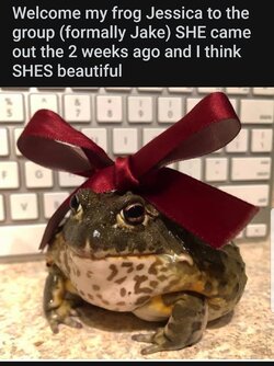 Screenshot_20210908-024817_Reddit.jpg