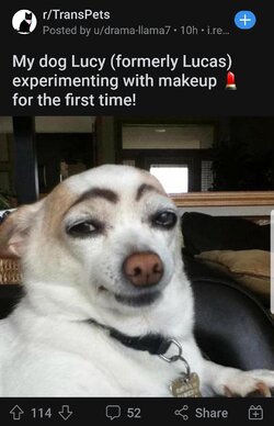 Screenshot_20210908-023500_Reddit.jpg