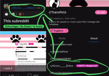 1631109456312.png
