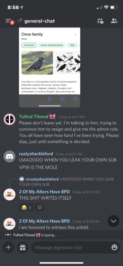 image6.png