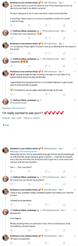 screencapture-twitter-TransSalamander-status-1435129737907605508-2021-09-10-15_03_33.png