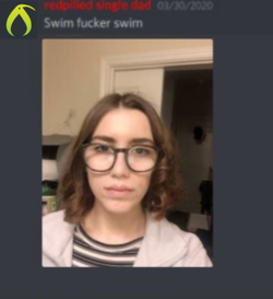 sfs.png
