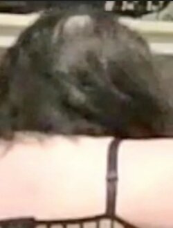  baldie1.jpg