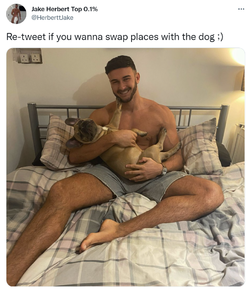 swapplaces.png