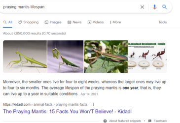 mantislifespan.PNG