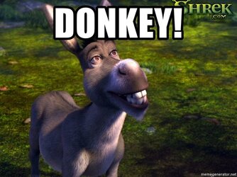 donkey2.jpg