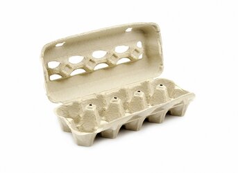 Egg_Carton_Depositphotos_39096253_original.jpg