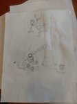 IMG_20170726_164328.jpg