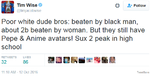TimWiseWhiteDudeBros.png