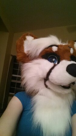 furry.jpg