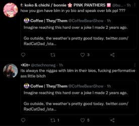BLM6.PNG