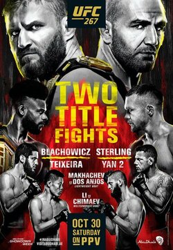Blachowicz VS Texeira.jpg