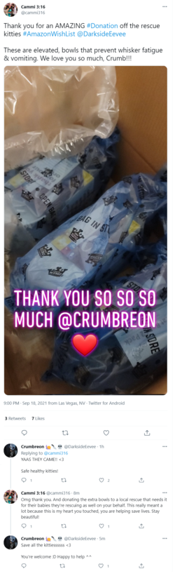 crumcatperson.png