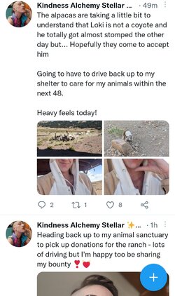 Screenshot_20210919-103109_Twitter.jpg