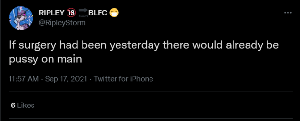 Screenshot 2021-09-20 at 00-54-48 RIPLEY 🔞 🔜BLFC 😷 on Twitter.png