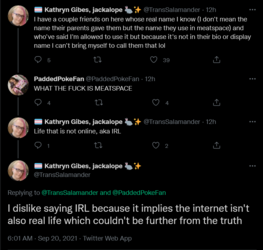 Screenshot 2021-09-20 at 18-04-46 🏳️‍⚧️ Kathryn Gibes, jackalope 🐇✨ on Twitter.png