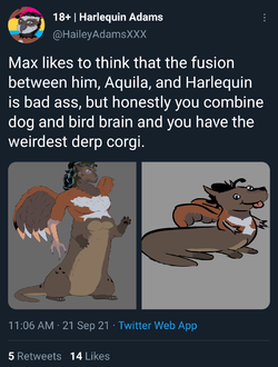 68492743.png