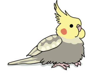wkjefbnkwjenfkjw.png