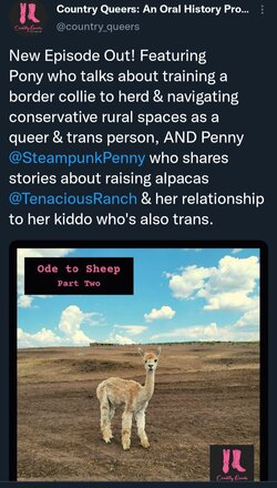 Screenshot_20210922-124254_Twitter.jpg