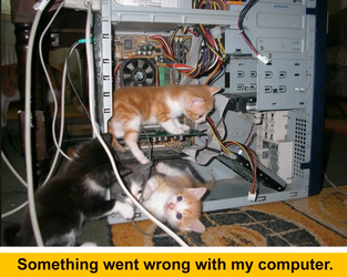 Screenshot_20210903-004952~2.png