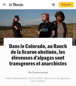 Screenshot 2021-09-23 at 15.04.35.png