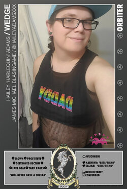 o WEDGE.jpg