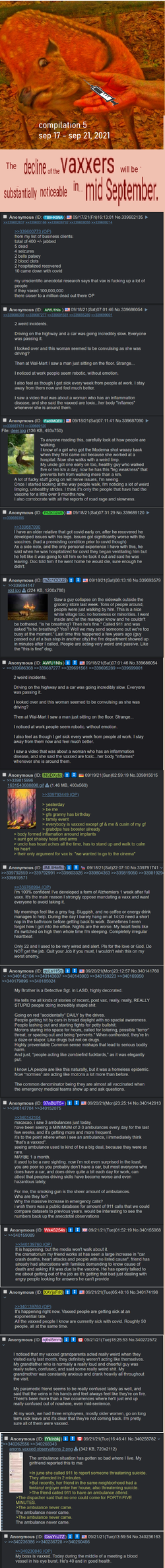 36FE5277-6AD3-4EEE-B567-2E30D46F5EDF.png