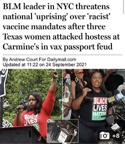 C5568827-3BAC-48DB-A79F-F02E4AE5B6DF.jpeg