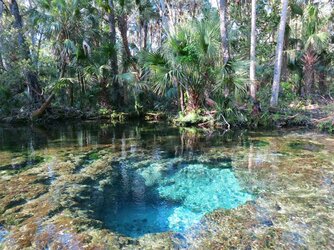 Chassahowitzka-spring.jpg