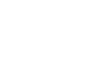 chris chan emblem.png
