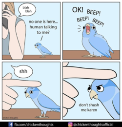 Screenshot_55.png