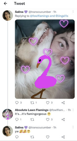 IsGraphicDesign.jpg