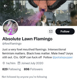 Flamingo.jpg