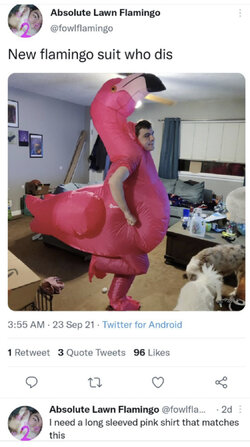 InflatedFlamingo.jpg